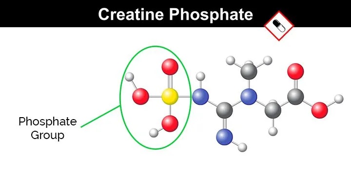 kreatinfosfat